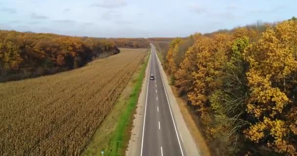 Letecký pohled na silnici v podzimním lese při západu slunce. Úžasné, krajina s polní cestu, stromy s červené a oranžové listy v den poblíž kukuřičné pole. — Stock video