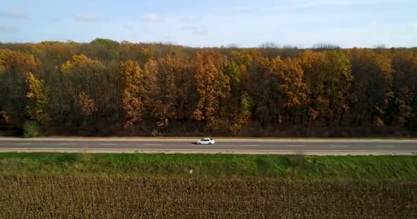 Vista aérea de la carretera en el bosque de otoño al atardecer. Increíble paisaje con camino rural, árboles con hojas rojas y naranjas en un día cerca del campo de maíz . — Vídeo de stock