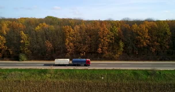 Vista aérea de la carretera en el bosque de otoño al atardecer. Increíble paisaje con camino rural, árboles con hojas rojas y naranjas en un día cerca del campo de maíz . — Vídeo de stock