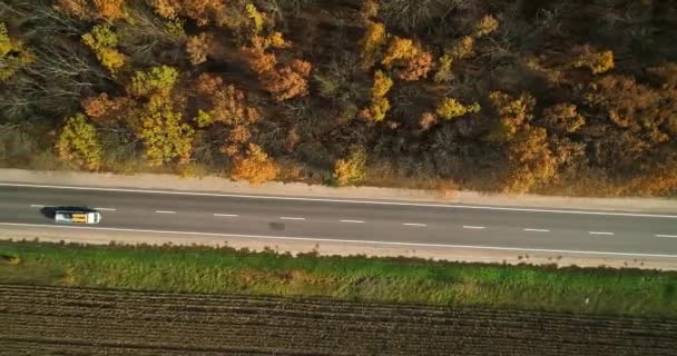 Vista aérea de la carretera en el bosque de otoño al atardecer. Increíble paisaje con camino rural, árboles con hojas rojas y naranjas en un día cerca del campo de maíz . — Vídeo de stock