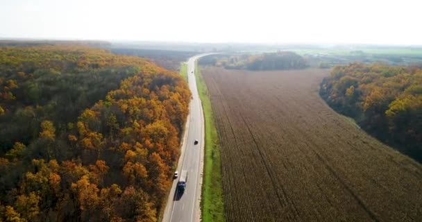 Luftaufnahme der Straße im Herbstwald bei Sonnenuntergang. atemberaubende Landschaft mit Landstraße, Bäumen mit roten und orangen Blättern an einem Tag in der Nähe des Maisfeldes. — Stockvideo