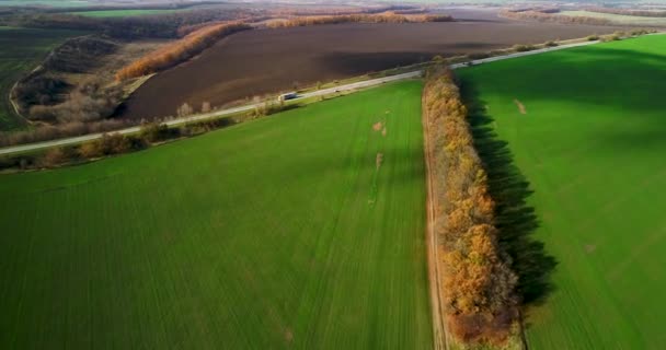 Luchtfoto van het groot tarweveld in de herfst. Verbazingwekkende landschap met bomen met rode en oranje bladeren in een dag in het tarweveld. — Stockvideo