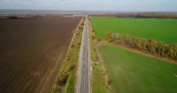 Luchtfoto van de weg in de herfst. Verbazingwekkende landschap met landelijke weg in de buurt van het tarweveld. — Stockvideo
