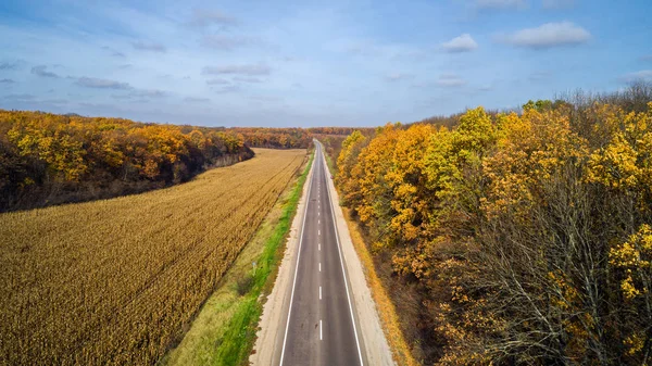 Vue aérienne de la route dans la forêt d'automne au coucher du soleil. Paysage étonnant avec route rurale, arbres avec des feuilles rouges et orange dans une journée près du champ de maïs . — Photo
