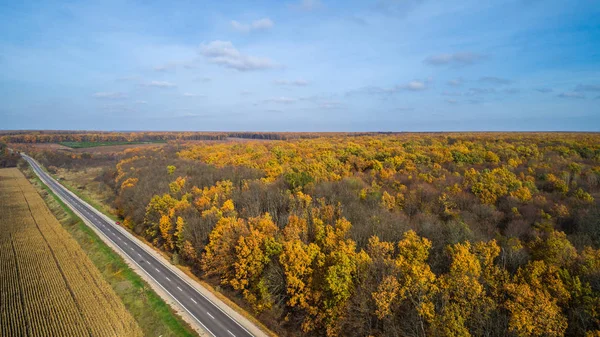 Vista aérea da estrada na floresta de outono no por do sol. Paisagem incrível com estrada rural, árvores com folhas vermelhas e laranja em um dia perto do campo de milho . — Fotografia de Stock