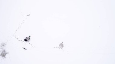 Havadan görünümü Kış Balıkçılık. Balıkçılar balıkçılık gece için çadır kurmak.