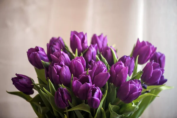 Frühling Tulpen Hintergrund. Blumenstrauß in einer Vase. — Stockfoto