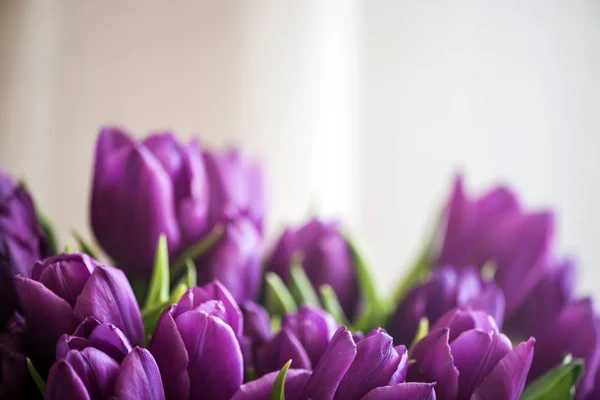 Borde de flores de tulipán sobre fondo de vacaciones — Foto de Stock