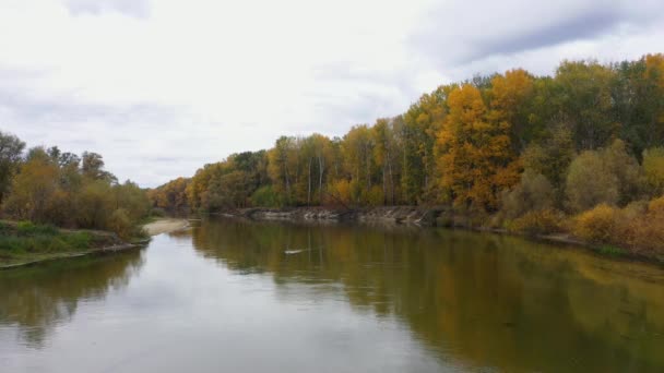 가을의 아름다운 강 풍경을 공중에서 본 모습. — 비디오