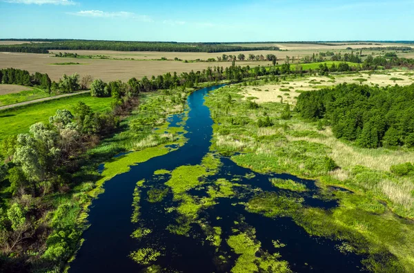 Letecký pohled na cestu mezi zeleným letním lesem a modrou řekou — Stock fotografie