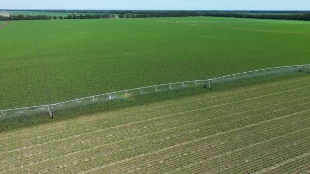Automatizovaný zavlažovací systém pro zavlažovací zavlažovače v obdělávaných zemědělských krajinných polích letecký pohled. — Stock video