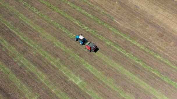 Круглый пресс-подборщик выдает свежий тюк пшеницы во время сбора урожая — стоковое видео