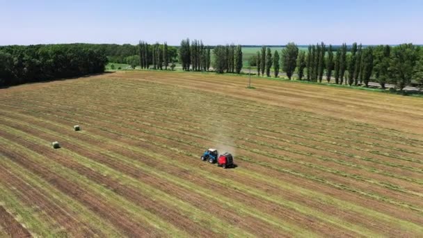 Vidéki táj mező rét szénabálákkal az esti napsütésben. Egy gömbölyű bálázó friss búzabálát bocsát ki a légi felvétel során.. — Stock videók