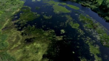 Mavi göl manzarası hava manzarası.