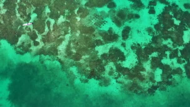 Great Barrier Reef Blue Sea view. Beautiful aqua and turquoise waters with coral reef patterns in the ocean aerial view. — Stock Video