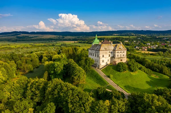 Het Olesky Kasteel in Lviv Oekraine lucht uitzicht. — Stockfoto