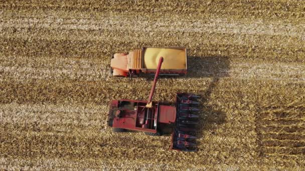 Erntemaschine schüttet Getreide in die Lkw-Luftaufnahme. — Stockvideo