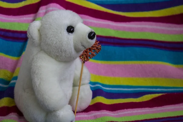 beautiful white bear with red heart in the paw