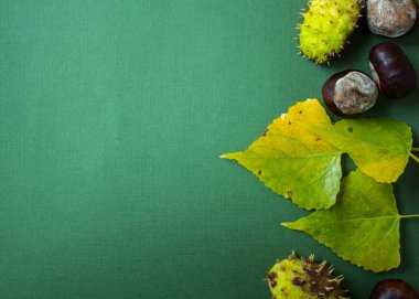 yaprakları ve kestane ile yeşil Kağıt arka plan