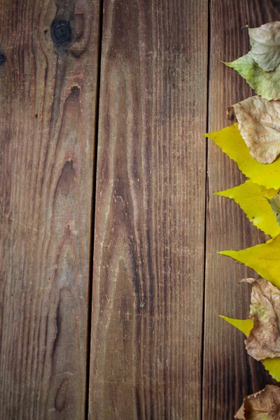 Hintergrund Herbst Gelb Blätter Auf Holz Hintergrund — Stockfoto