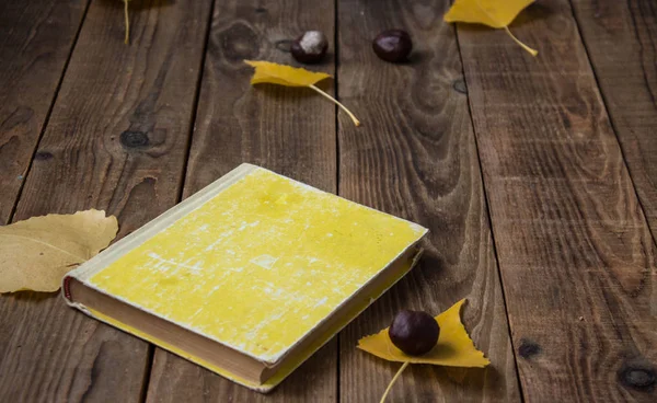 Könyv Sárga Levelek Gesztenye Fából Készült Háttér — Stock Fotó