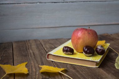 sarı bir kitap elma kestane ahşap arka plan üzerinde bırakır.