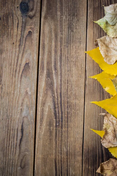 Fundo outono folhas amarelas no fundo de madeira — Fotografia de Stock