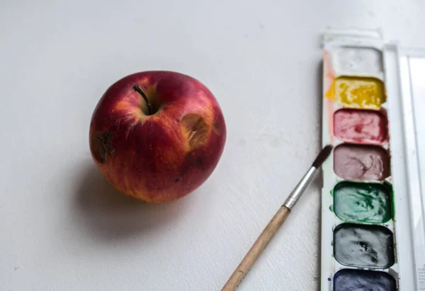Червоне яблуко і акварельна фарба і пензлик на білому тлі — стокове фото