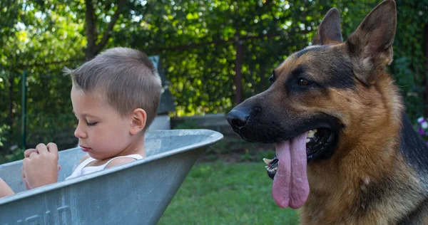 Çocuk oturur ve büyük bir köpek onu korur.