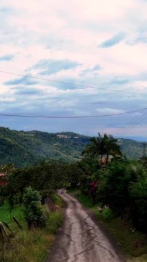 Dağların ortasındaki bir ormanın kırsal bir yolundaki arabanın sinematik insansız hava aracı görüntüsü.