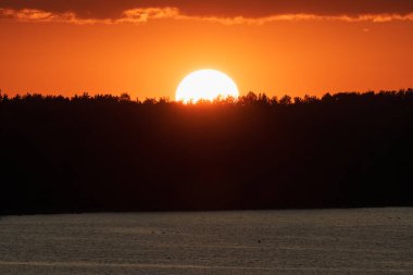 Parlak güneş diski, Estonya kıyısındaki sakin Baltık Denizi üzerinde karanlık bir orman siluetinin arkasında batıyor..
