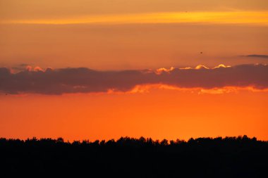İnanılmaz canlı turuncu gün batımı gökyüzü siluetli bir ormanın üzerinde dramatik kara bulutlar, güzel ve huzurlu bir doğal manzara yakalıyor..