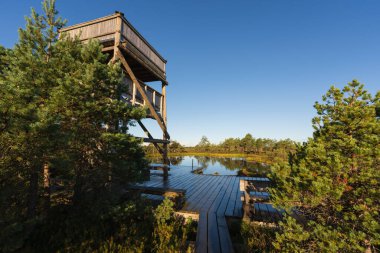 Tahta bir gözlem kulesinin manzarası ve Estonya ulusal parkında huzurlu bir bataklık gölü üzerinde tahta yürüyüş..