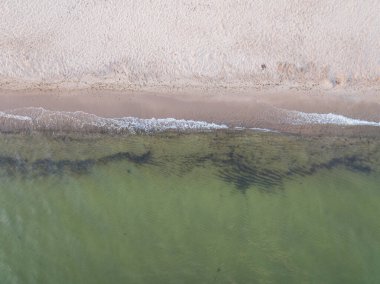Estonya 'daki Baltık Denizi kıyılarının tepeden tırnağa soyut hava aracı görüntüsü, kumlu bir sahilde hafif dalgalar..