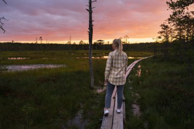 Güzel bir gökyüzü ve yemyeşil doğası olan, ahşap bir tahta kaldırımda, sakin bir günbatımı yürüyüşü..