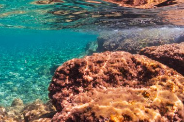 Fransa 'nın başkenti Cap-Ferrat' ta güzel bir deniz manzarası berrak turkuaz suyu, güneşli kayalar ve çakıl taşlı deniz yatağı var..