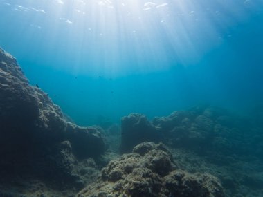 Sade sualtı manzarası, berrak mavi sularda filtrelenen güneş ışınları kayalık okyanus tabanını ve resifi aydınlatıyor..