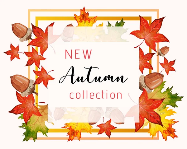 New collection banner for Autumn with fall leaves. — Stock Vector