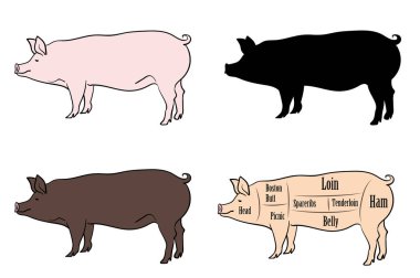 Domuz parçaları varyasyon kümesi / birkaç yazın ve vücut parçaları