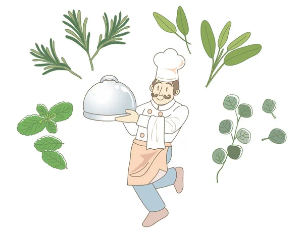 Herbal Food Chef Image — Stock Vector