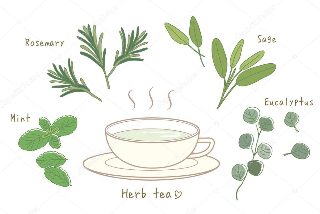 Herbal tea set/ Hot tea and Cup