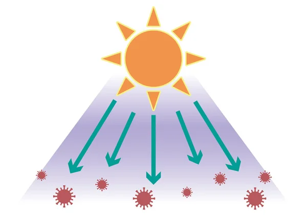 Rayos Ultravioletas Imagen Del Coronavirus Fondo Transparente — Vector de stock