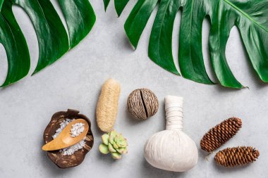 Aromaterapi ürün Spa seti, düz yatıyordu kompozisyon. Tropikal yaprak kavram tarzı., pembe bir arka plan ile masaj. üstten görünüm. Monstera yapraklar şablonu, tropikal yaz moda arka plan.