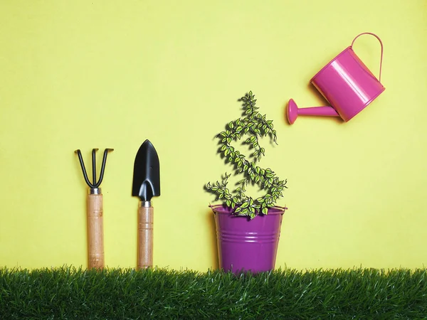 Top view Investment is like planting trees. Take care it will provide a good growth on colorful background.Watering can and money tree drawn concept for business investment, savings and making money.
