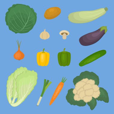 Sebze, mavi bir arka plan üzerinde izole kümesi. Bir patates, kabak, patlıcan, lahana, salatalık, soğan, Çin lahanası, mantar, havuç, tatlı biber resmi vardır. Vektör çizim.