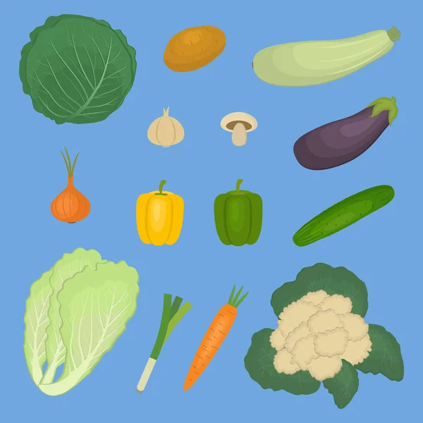 Uppsättning Grönsaker Isolerad Blå Bakgrund Det Finns Potatis Zucchini Aubergine — Stock vektor