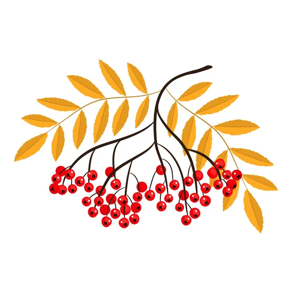 Rowan Branch Bacche Rosse Con Foglie Gialle Illustrazione Vettoriale Sfondo — Vettoriale Stock