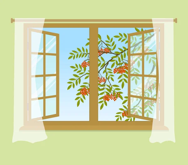 Rowan Branch Window Orange Berries Green Leaves Open Window Curtains — Stock Vector