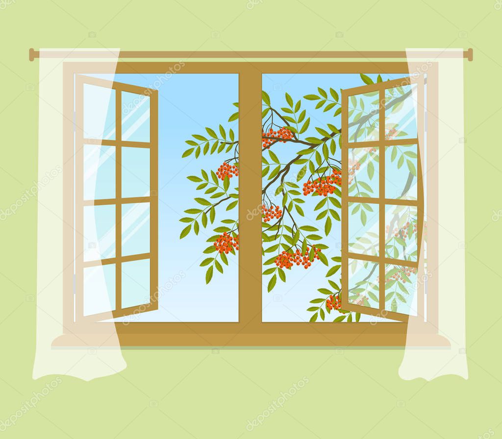 Rowan branch outside the window. Orange berries with green leaves. Open window with curtains on a green background. Vector illustration