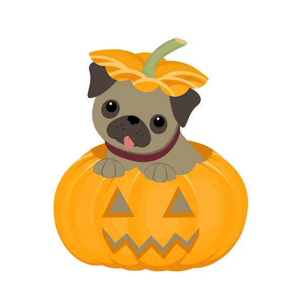 Lindo Cachorro Pug Está Sentado Una Calabaza Halloween Feliz Ilustración — Archivo Imágenes Vectoriales
